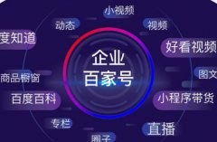 企业百家号蓝v商家在杭州网络推广的实施渠道有哪些？